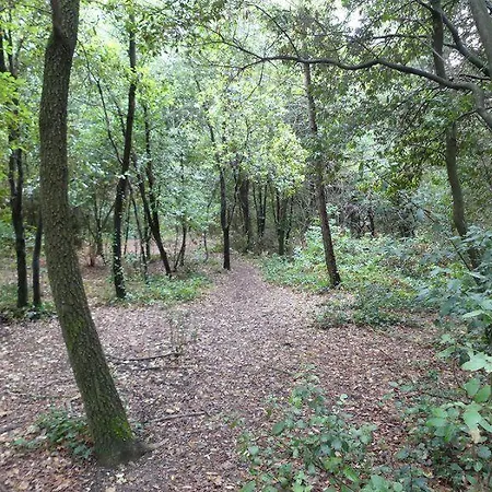 فيلة Maison Familiale Et Spacieuse