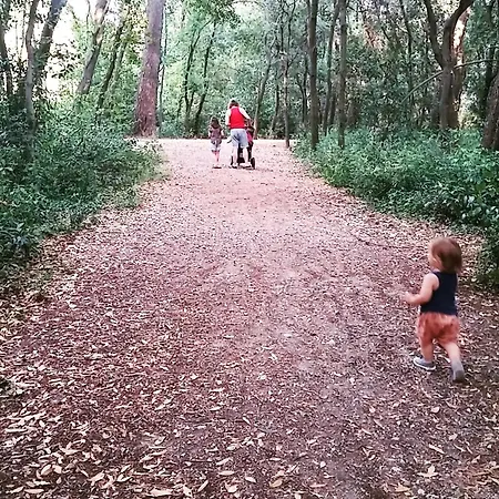 Maison Familiale Et Spacieuse